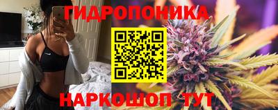 крисы Бузулук