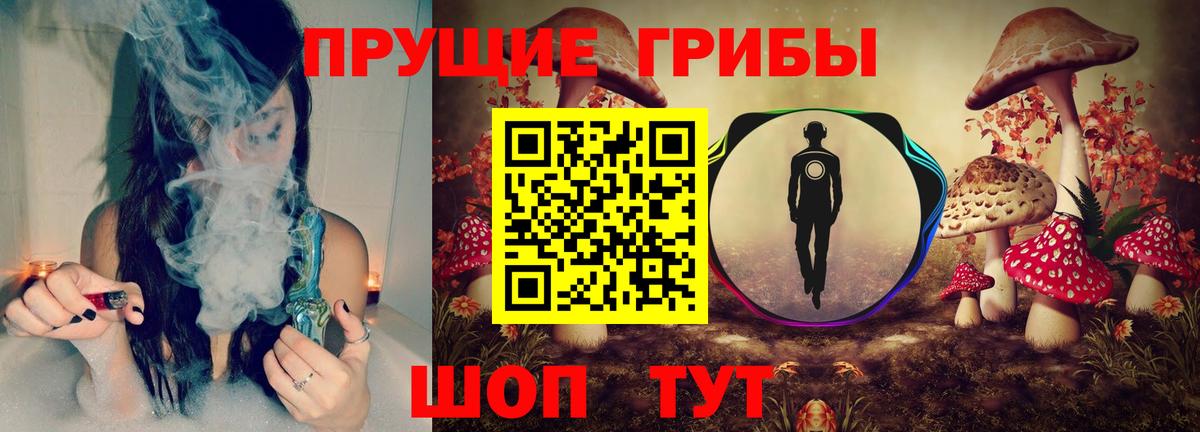 Вольск  Псилоцибиновые грибы ЛСД  что такое   Вход с VPN  Галлюциногенные грибы GOLDEN TEACHER 
